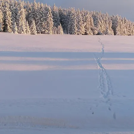 Alpehytte Krusnohorka Kovářská