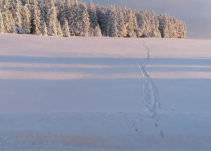 Horská chata Krušnohorka Kovářská